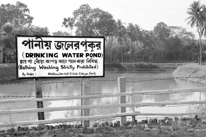 A view of the drinking water pond in arsenic-affected Madhusudankati village, North 24 parganas district, West Bengal